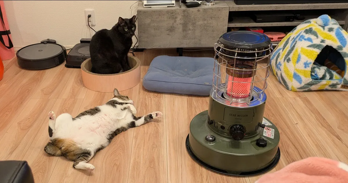 ストーブで喜ぶ猫